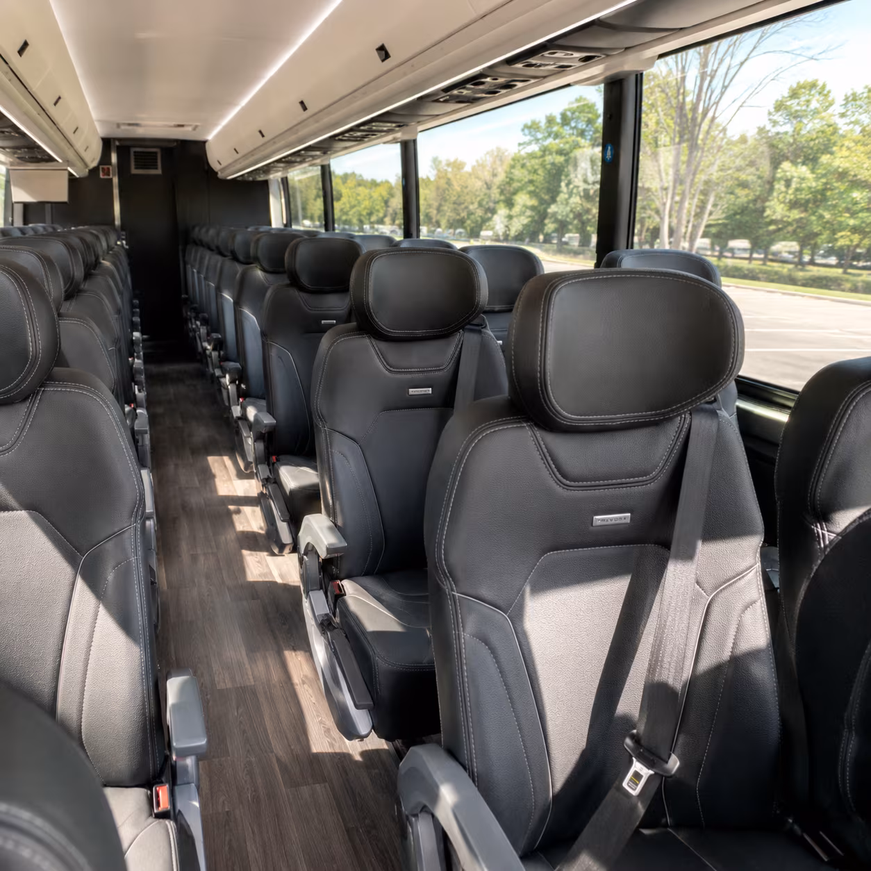 Brownsville Airport Shuttle & Transportation party bus interior