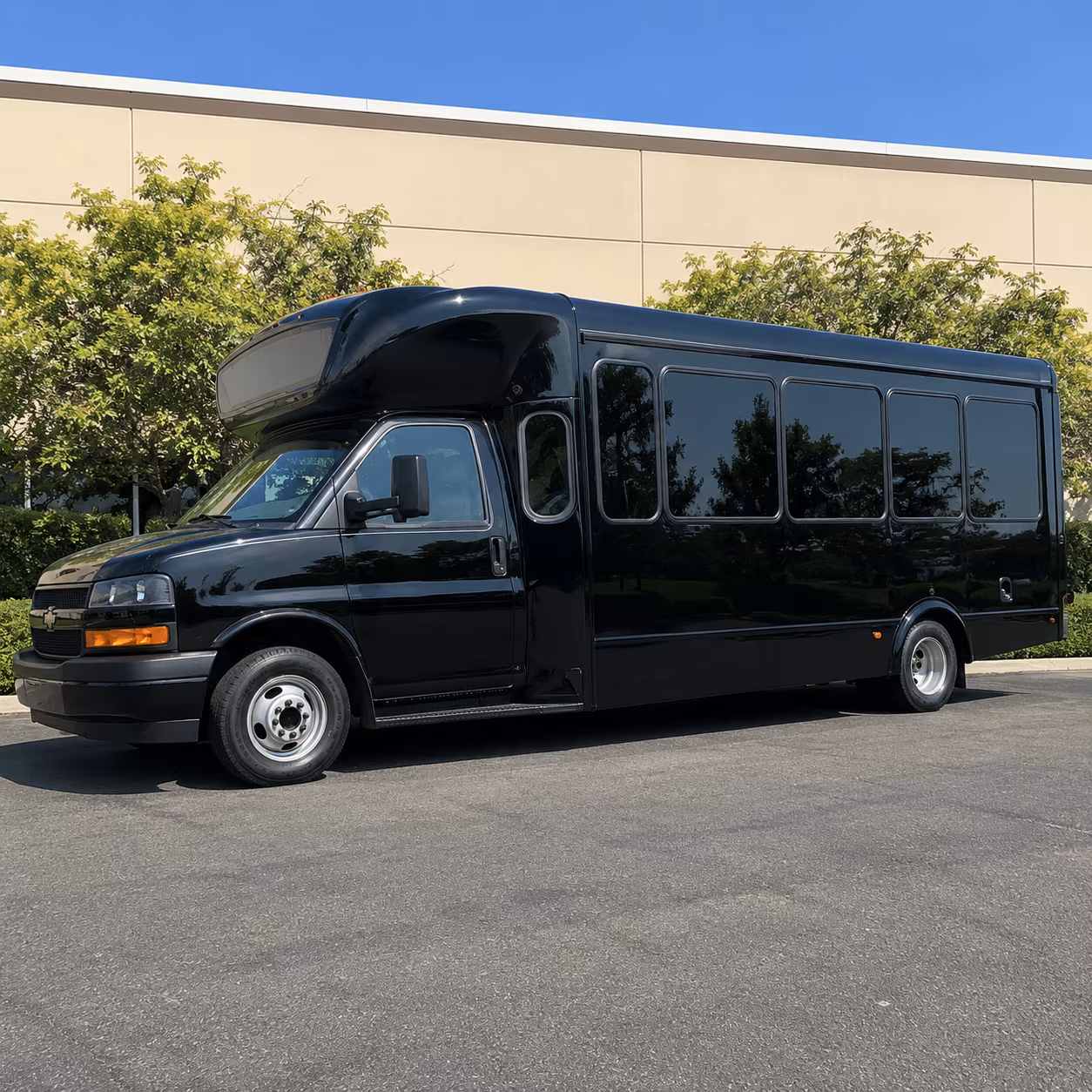 Brownsville Bachelor & Bachelorette Transportation party bus exterior