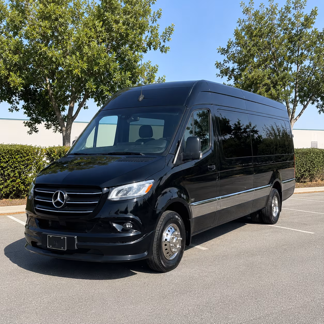 Brownsville School Event & Field Trip Transportation