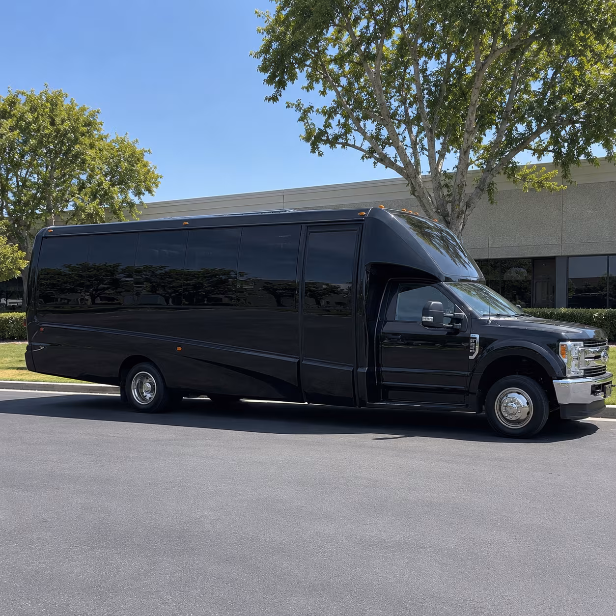 Edinburg Birthday, Sweet 16, & Quinceañera Party Bus Rentals